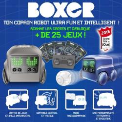 Spinmaster - Robot télécommandé - Robot Boxer